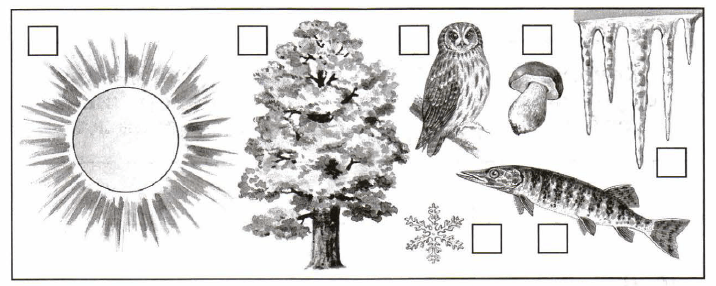 Задание рисунок 1